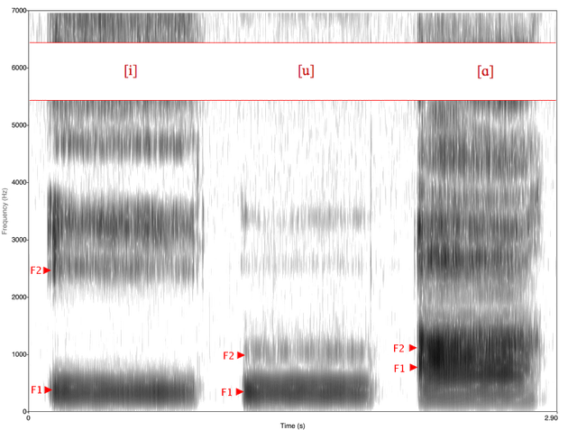 File:Spectrogram -iua-.png