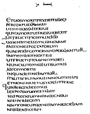 File:Codex claromontanus latin.jpg