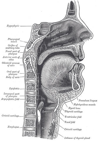 File:Gray994.png
