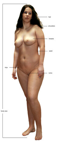 File:Woman labeled.jpg