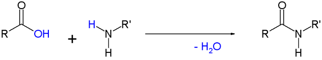File:SimpleAmideFormationByCondensation.png