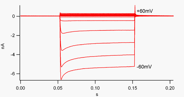 File:Inward-rectification.png