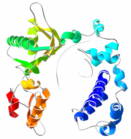 File:DNA polymerase.png