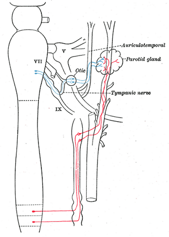 File:Gray843.png