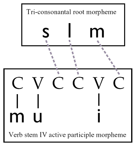 File:Nonconcatenative-muslim-derivation.png