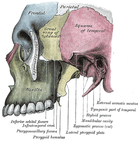 File:Gray189.png