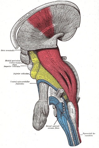File:Gray684.png