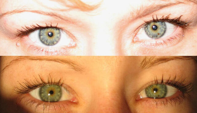 File:BlueGreen.jpg
