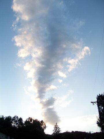 File:101 0389.jpg