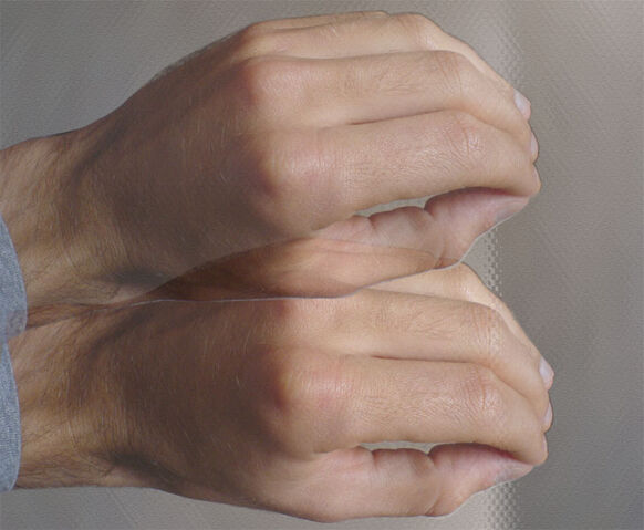File:Portugal Wanker Gesture.jpg