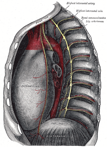 File:Gray846.png