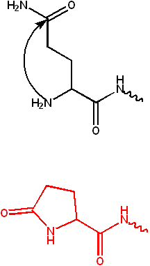 Pyroglutamate