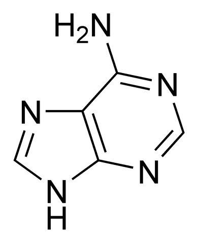 File:Adenine chemical structure.png