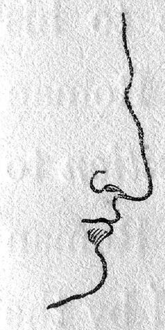 File:Class I nose.jpg