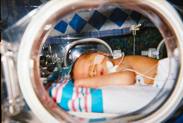 File:Human Infant in Incubator.jpg