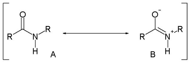File:AmideResonance.png