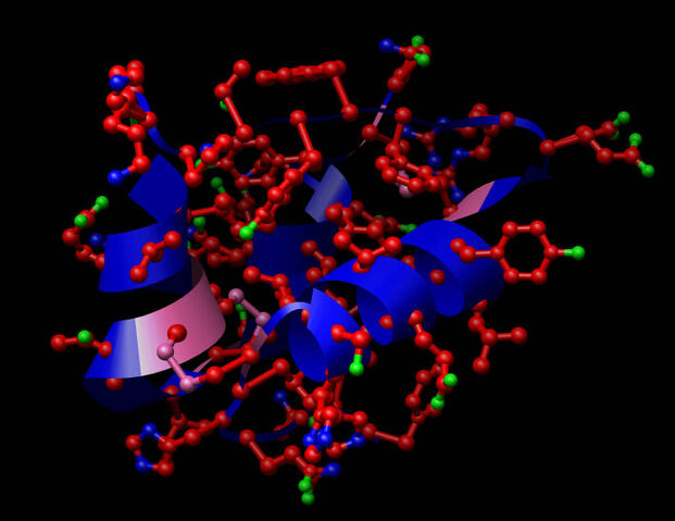 File:Insulin.jpg