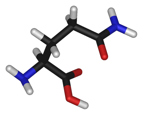 File:L-glutamine-3D-sticks.png
