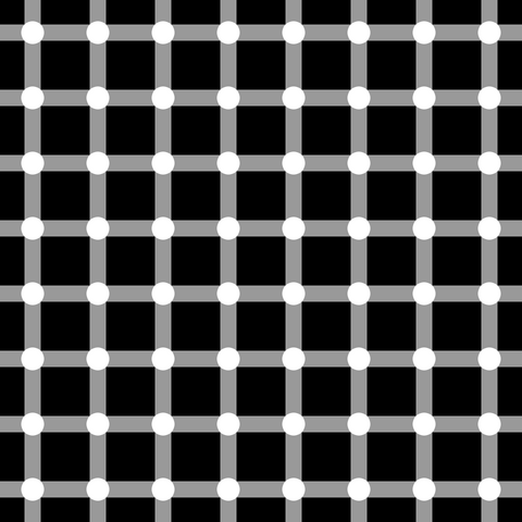 File:Grid illusion.png