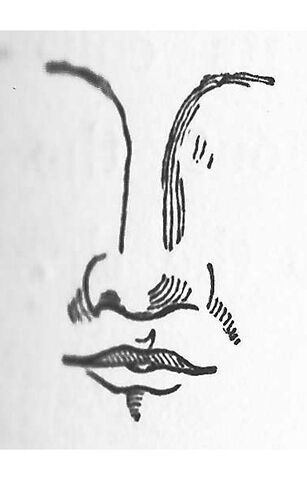 File:Class III nose.jpg