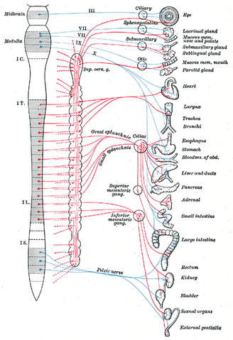 File:Gray839.png