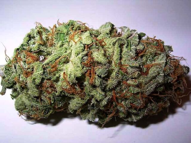 File:ST-3-bud.jpg