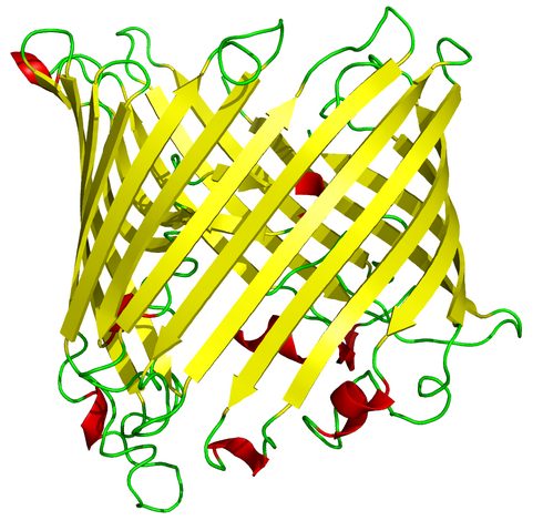 File:Sucrose porin 1a0s.png