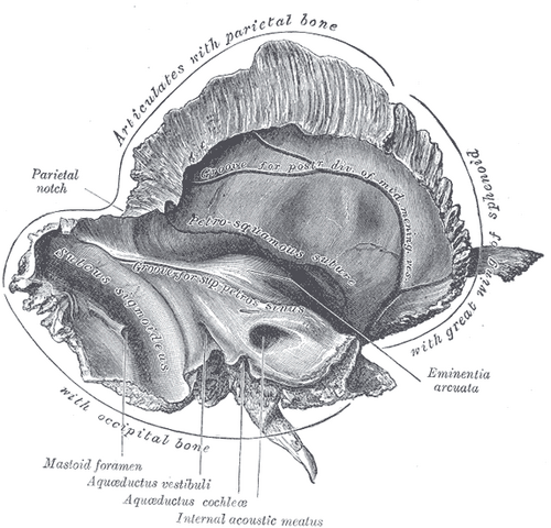 File:Gray138.png