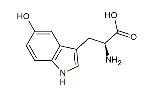 File:5-hydroxytryptophan.png