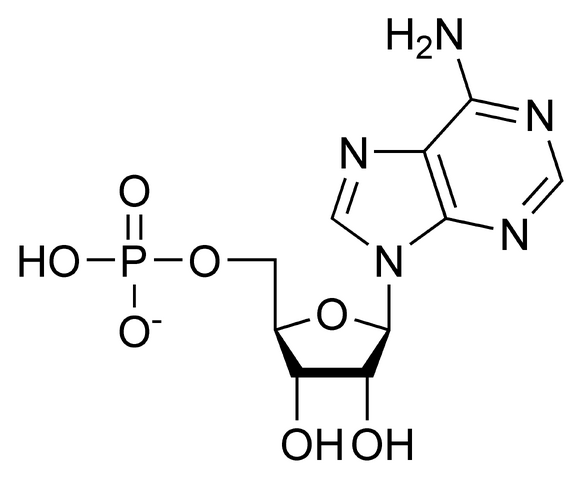 File:AMP chemical structure.png