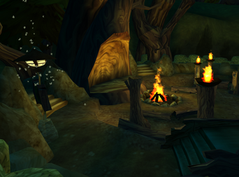 Main Camp Fire