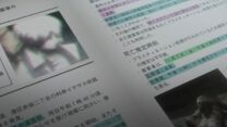 Shogo's file