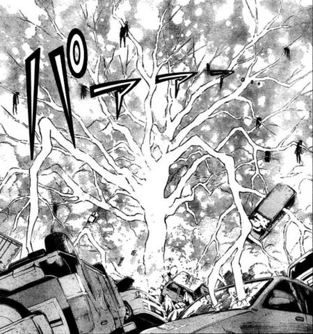 File:Tree.jpg