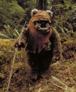 Wicket rotj.jpg
