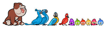 Rio-Characters-by-Size
