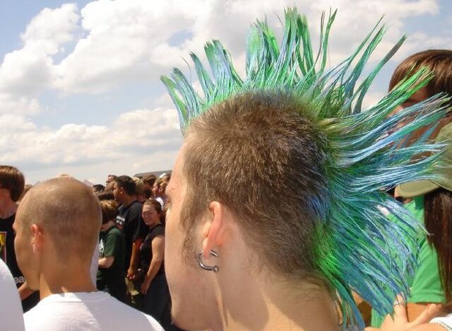 Datei:Dyedmohawk.jpg