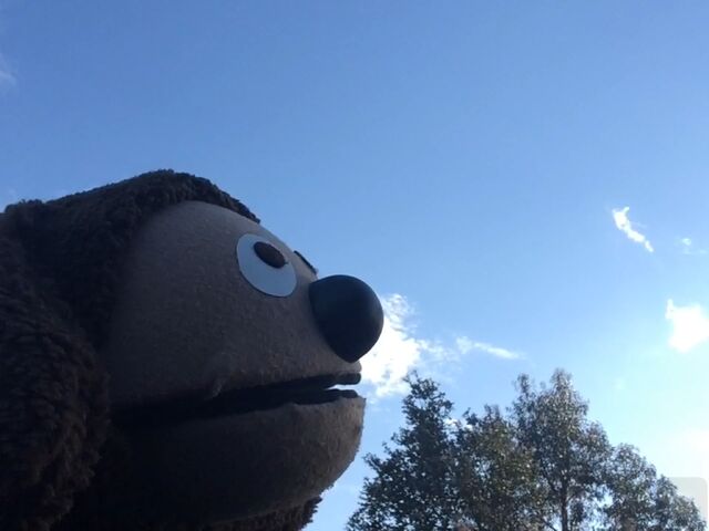 File:Rowlf.jpg