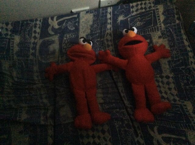 File:Two Elmos.jpg
