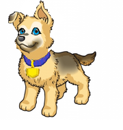 Maggie