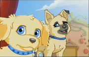 Maggie and William
