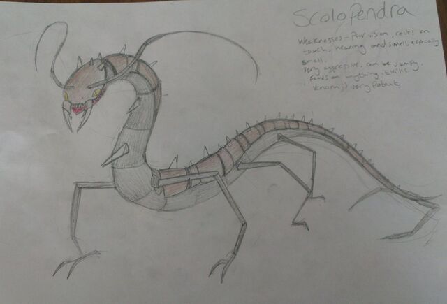 File:Scolopendra by thedeadlymillipede-d8n2kx2.jpg