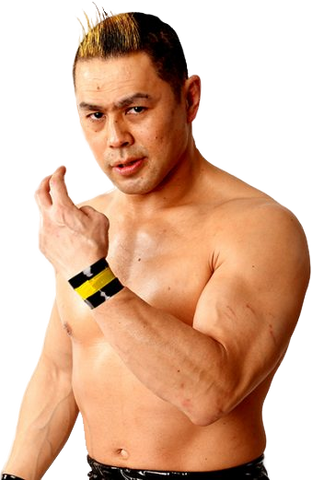File:Taka Michinoku.png