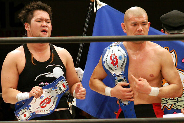 File:Araiiwasatwin.jpg