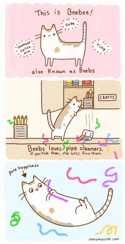 File:Beebs.gif