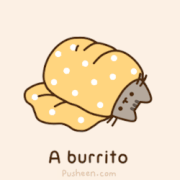 A burrito