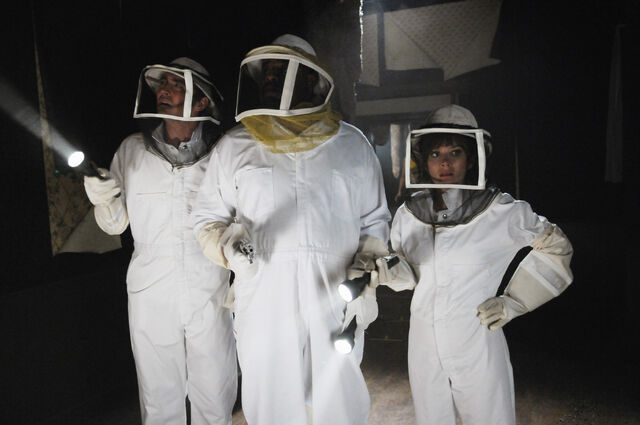 File:Bzzzzzzzz! (18).jpg