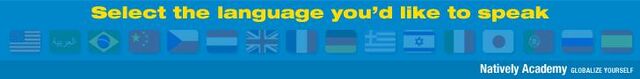 File:American is a language.jpg