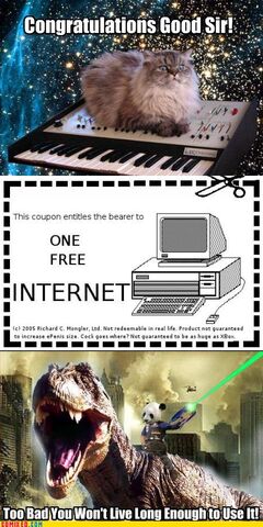 File:1 free internet.jpg