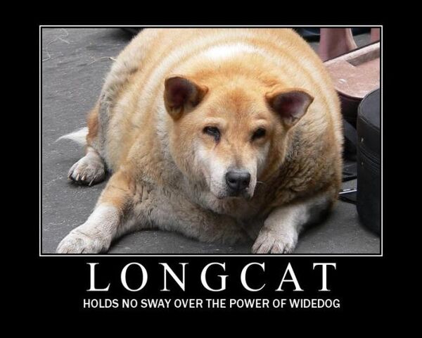 File:Widedog.jpg