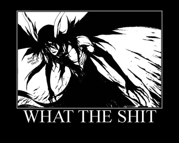 File:WHATTHESHIT.jpg